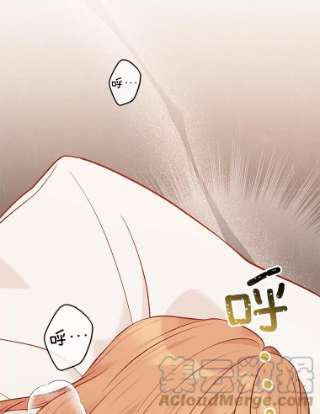绿荫之冠58.选择