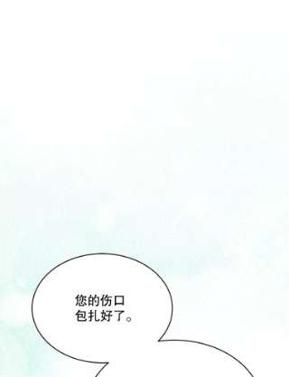 绿荫之冠58.选择