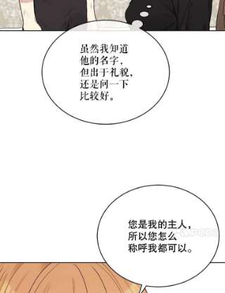 绿荫之冠58.选择