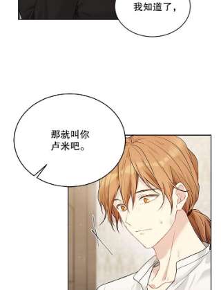 绿荫之冠58.选择