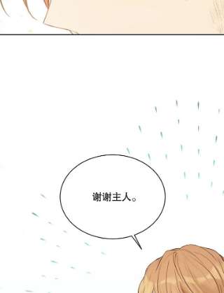 绿荫之冠58.选择