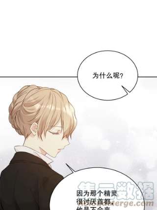 绿荫之冠58.选择