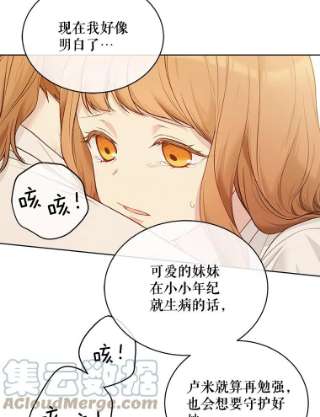 绿荫之冠58.选择