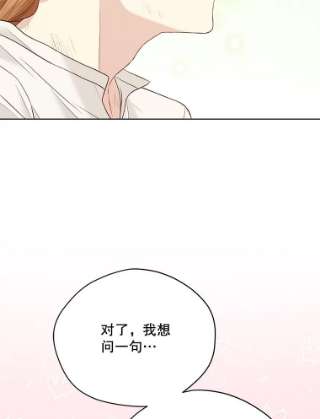 绿荫之冠58.选择