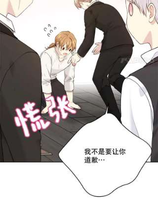 绿荫之冠58.选择