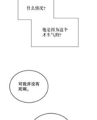 绿荫之冠59.争吵