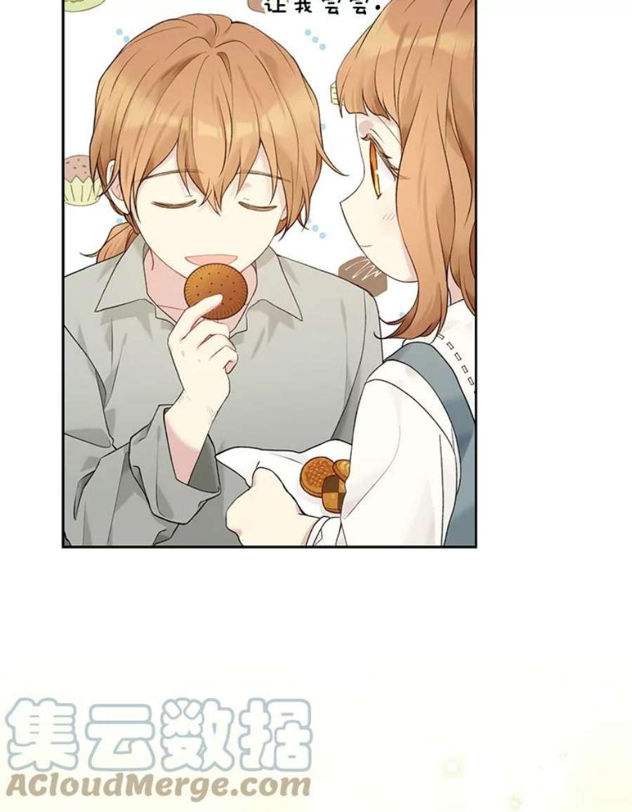 绿荫之冠61.都是我的