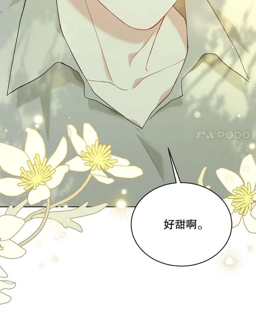 绿荫之冠61.都是我的