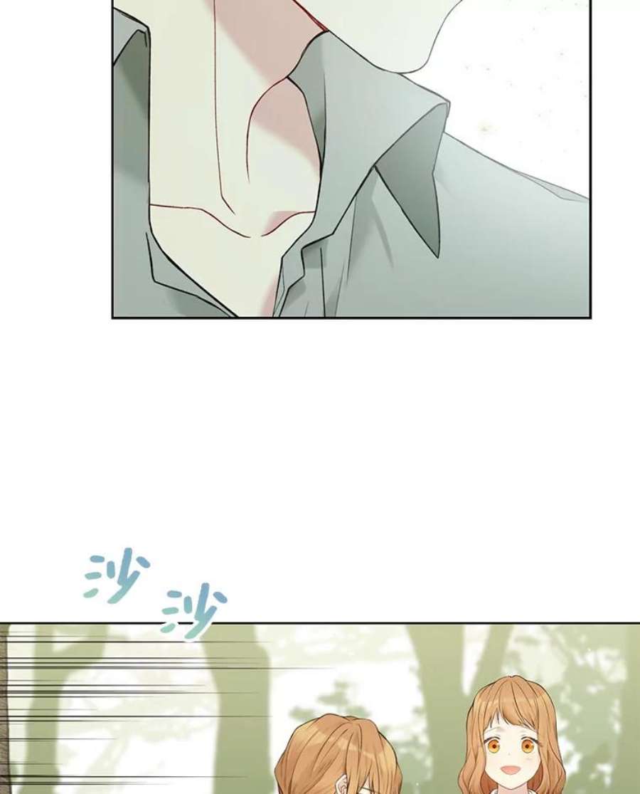 绿荫之冠61.都是我的