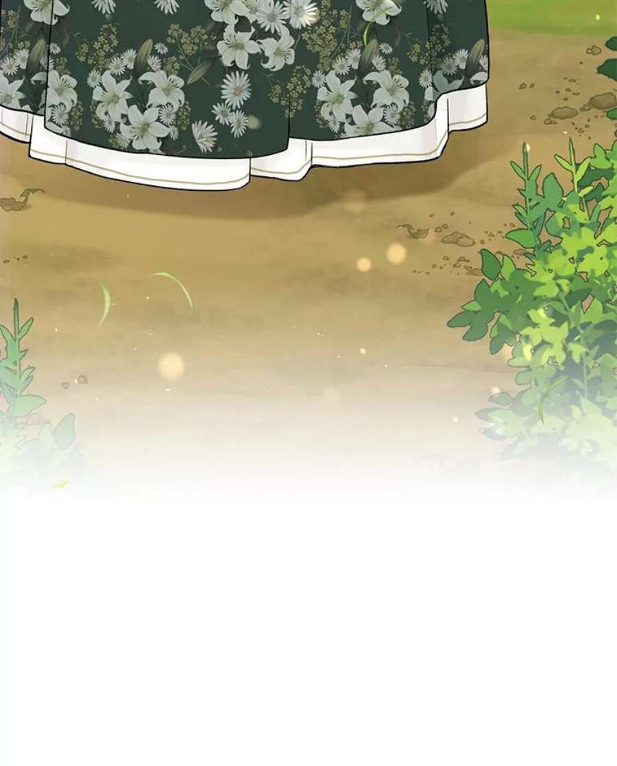 绿荫之冠61.都是我的