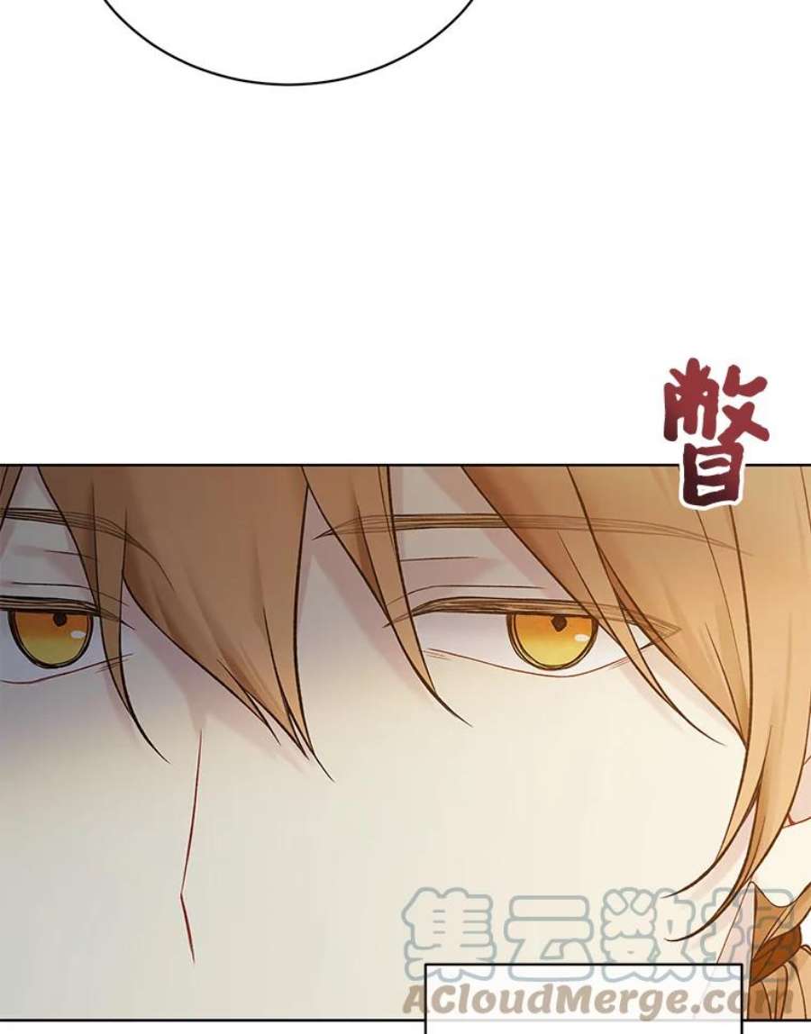 绿荫之冠61.都是我的