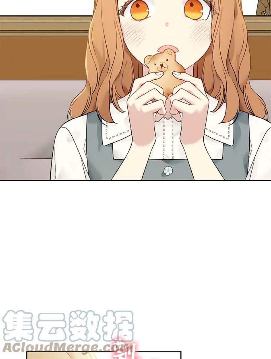 绿荫之冠61.都是我的