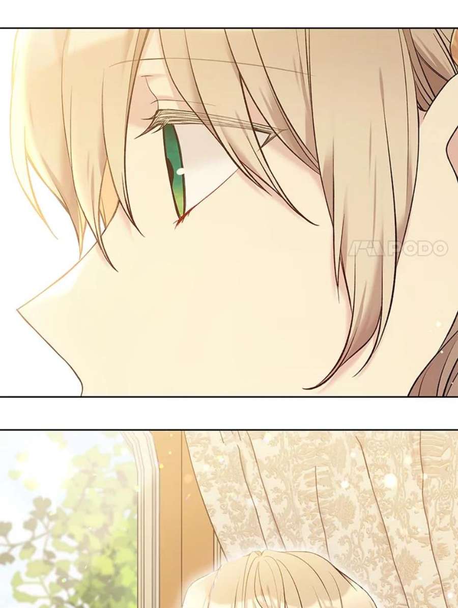 绿荫之冠61.都是我的