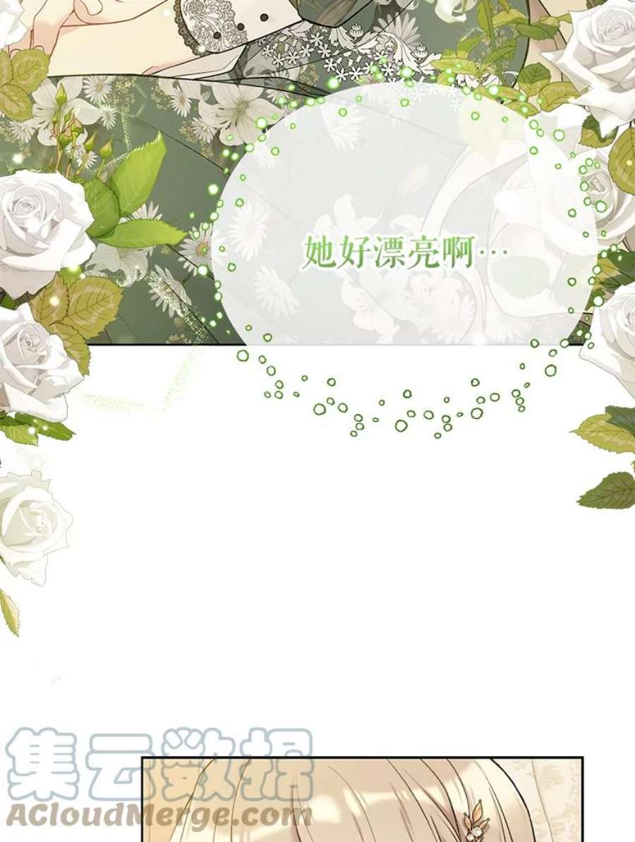 绿荫之冠61.都是我的