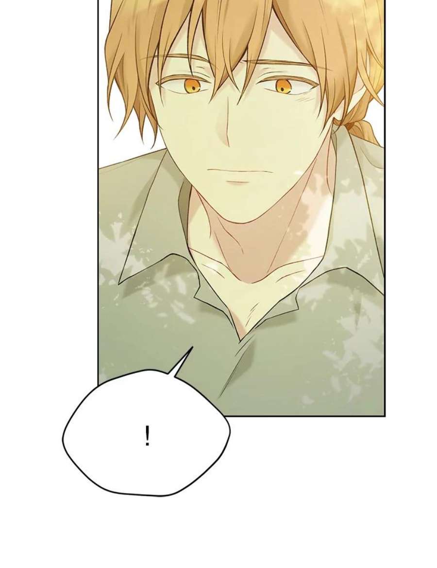 绿荫之冠62.矮人到访