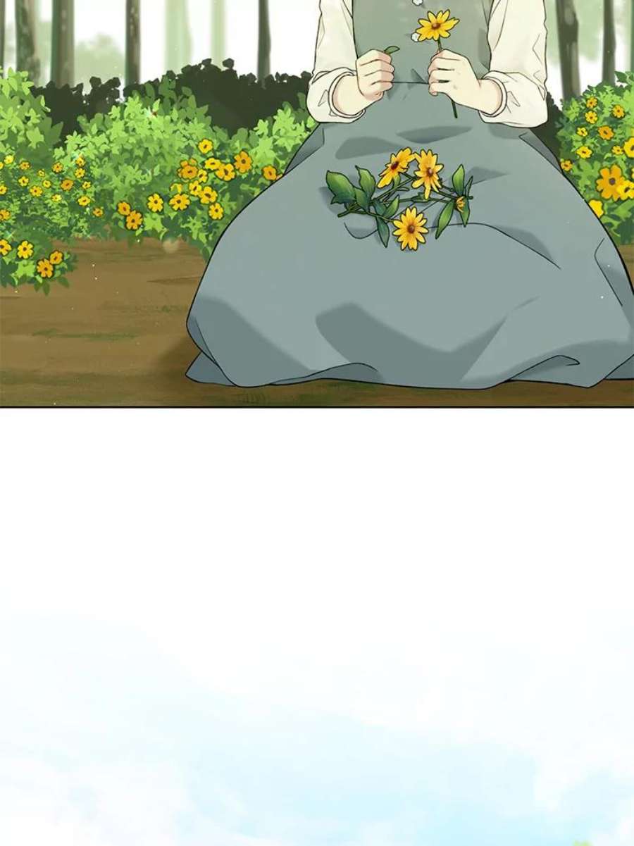 绿荫之冠62.矮人到访