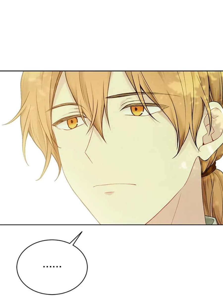 绿荫之冠62.矮人到访