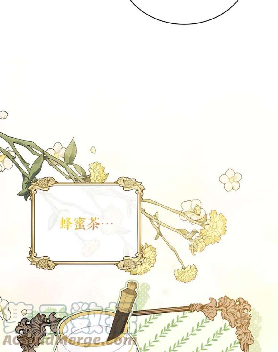 绿荫之冠63.纳迪姆