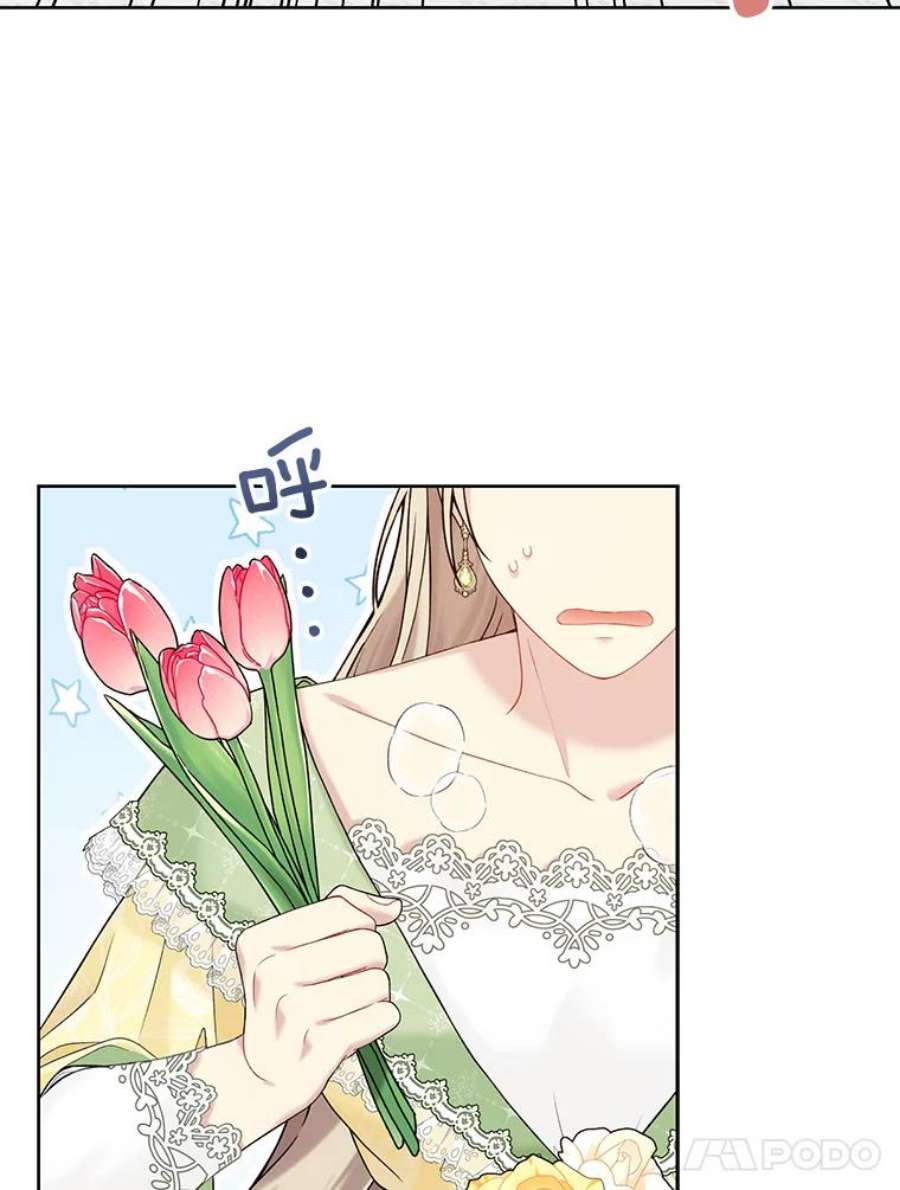 绿荫之冠63.纳迪姆