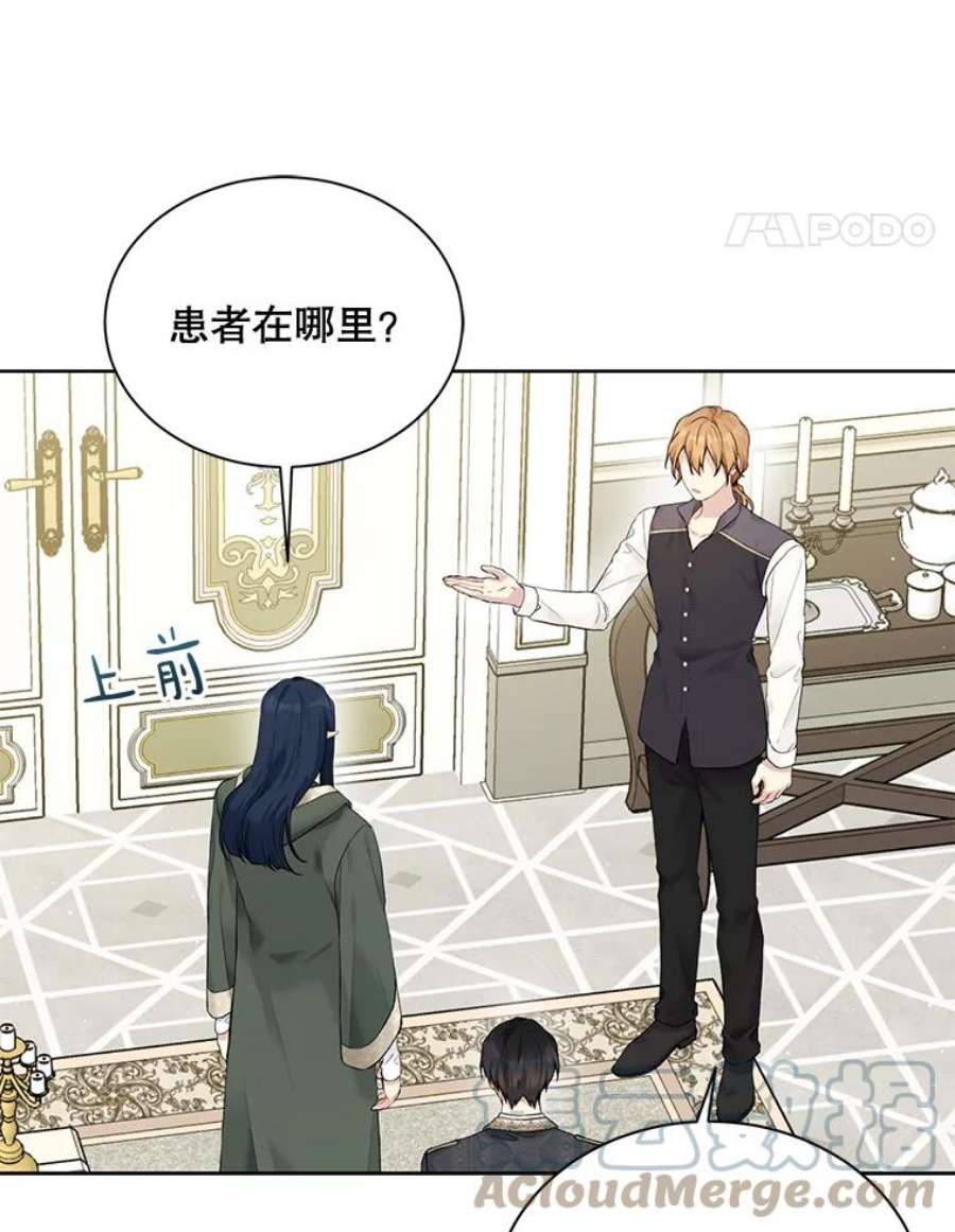 绿荫之冠66.味道