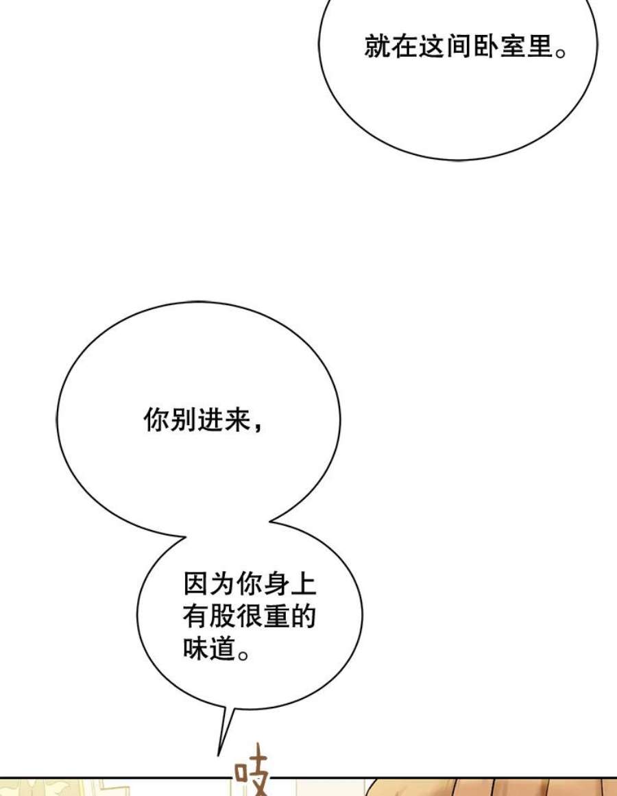 绿荫之冠66.味道