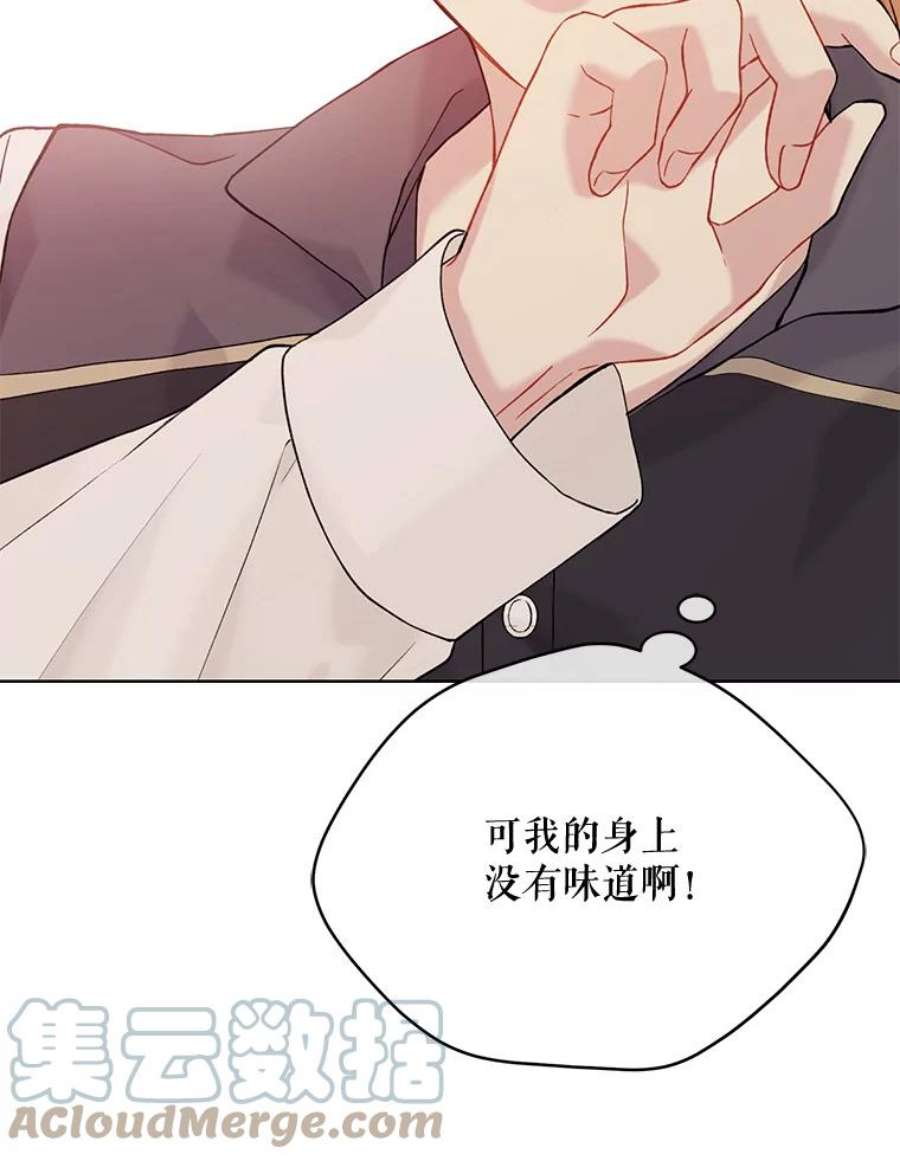 绿荫之冠66.味道