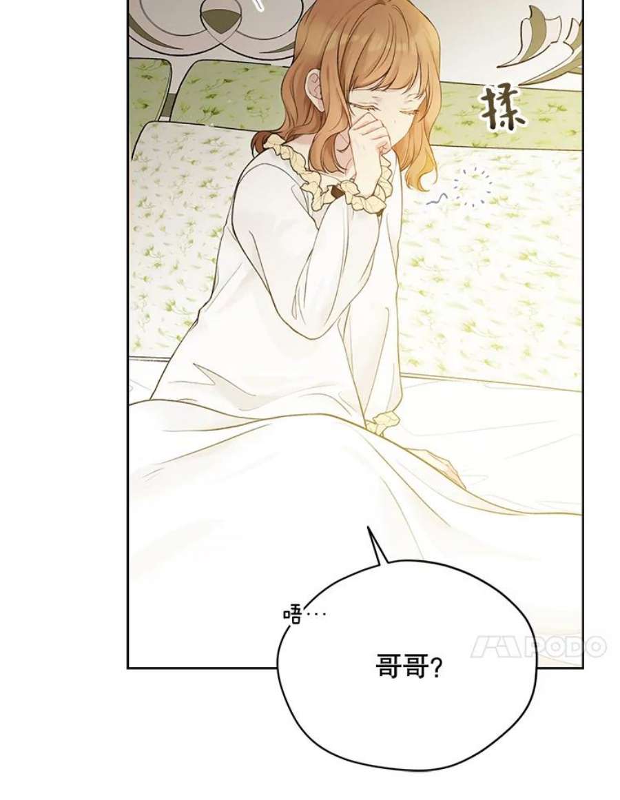 绿荫之冠66.味道