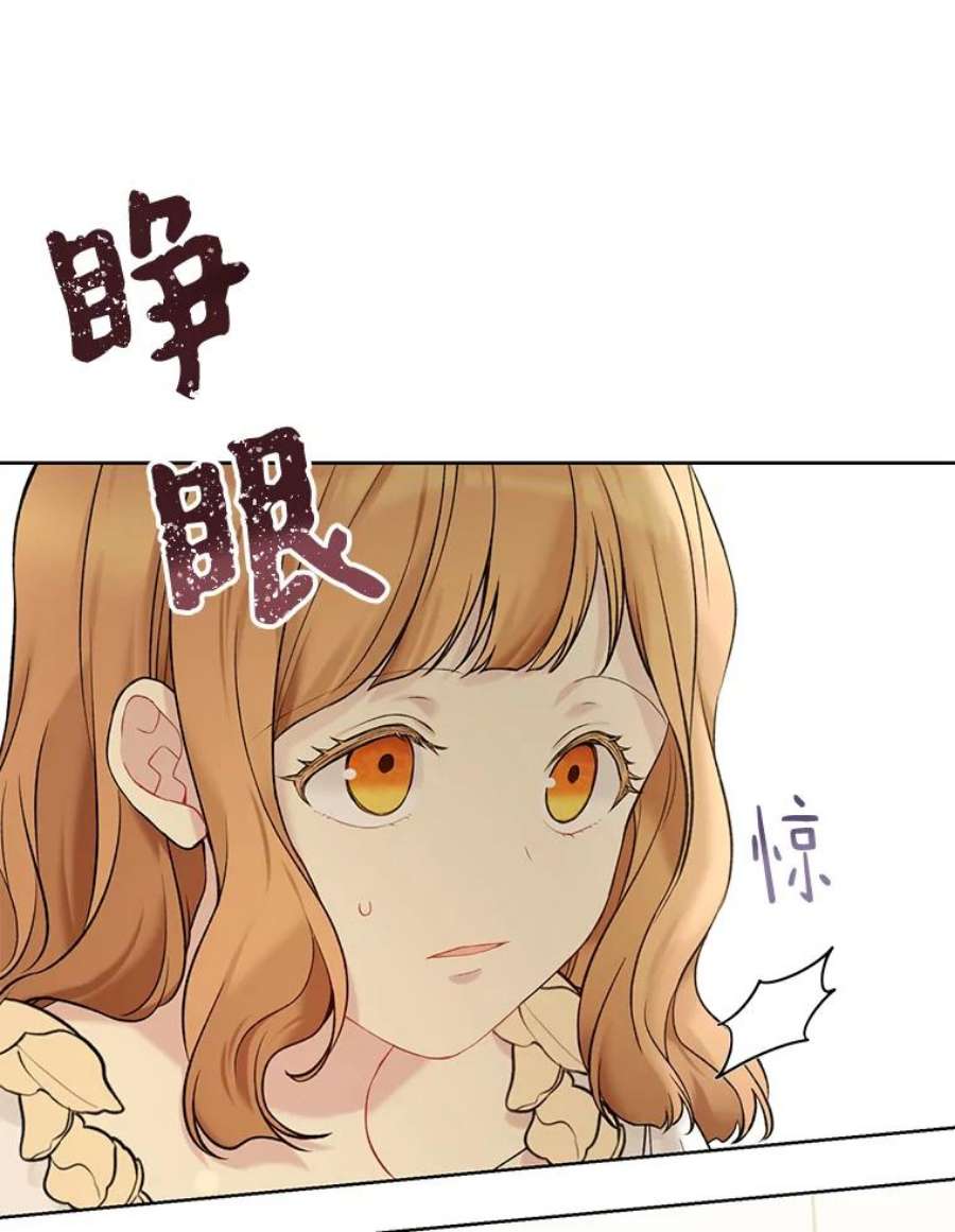 绿荫之冠66.味道