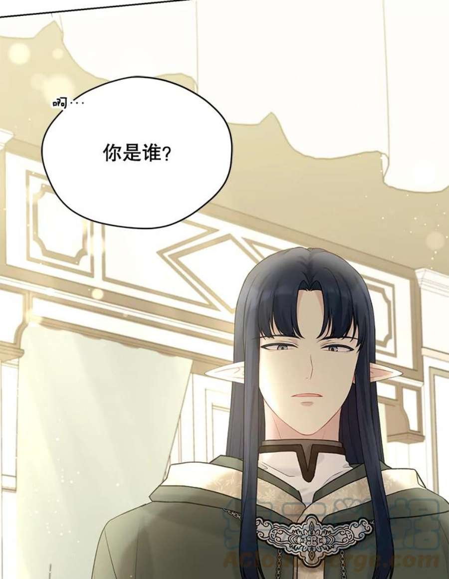 绿荫之冠66.味道