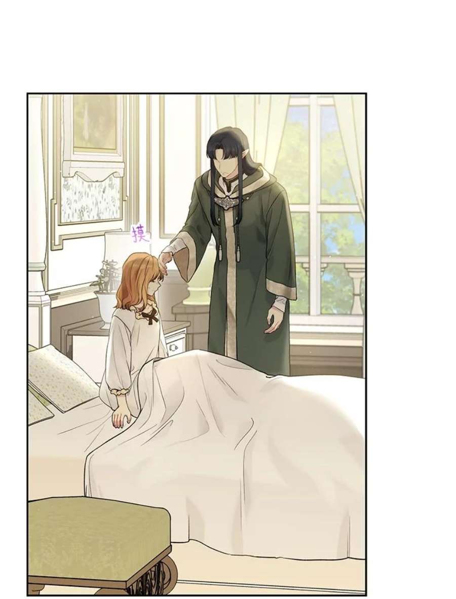 绿荫之冠66.味道