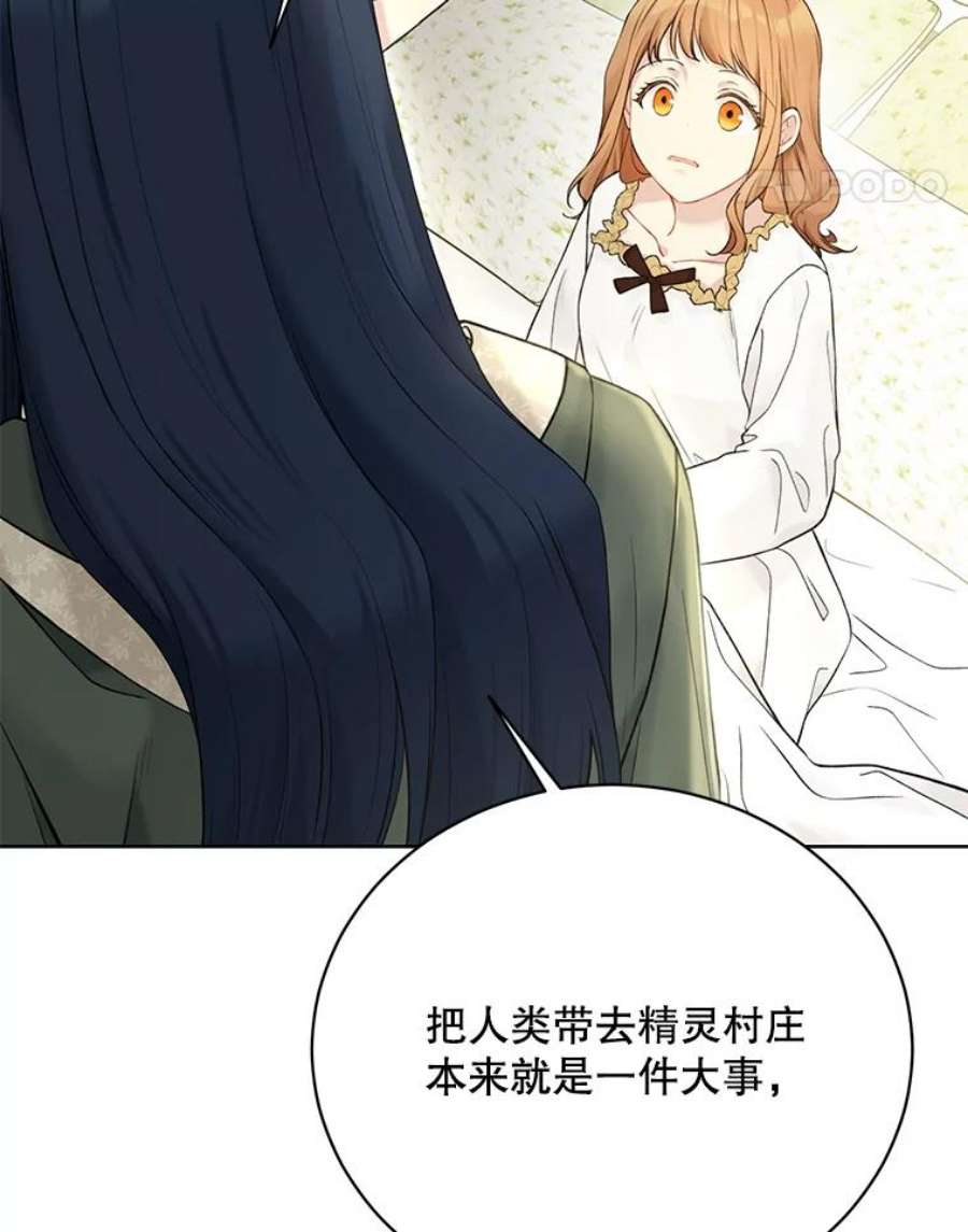 绿荫之冠66.味道