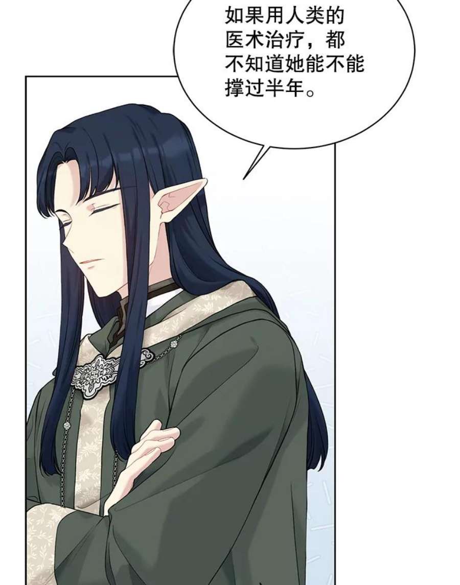 绿荫之冠66.味道