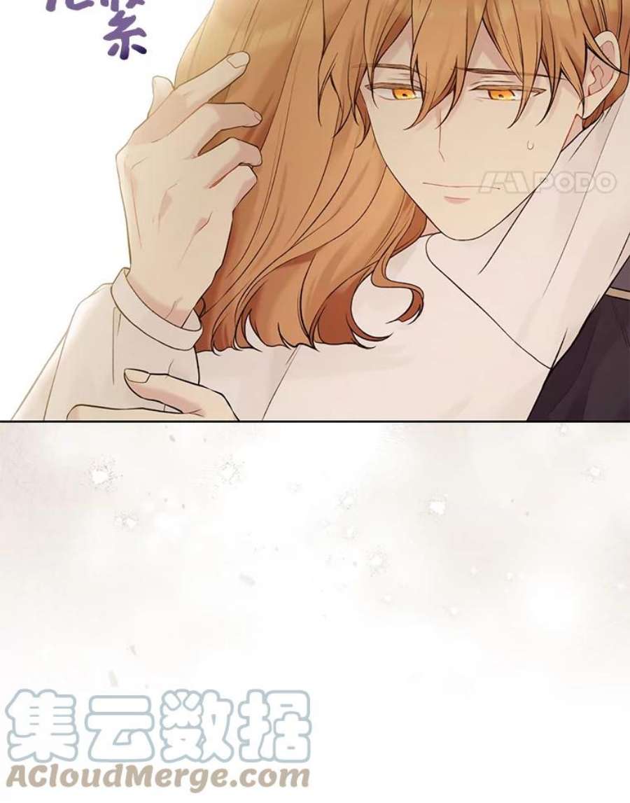 绿荫之冠66.味道