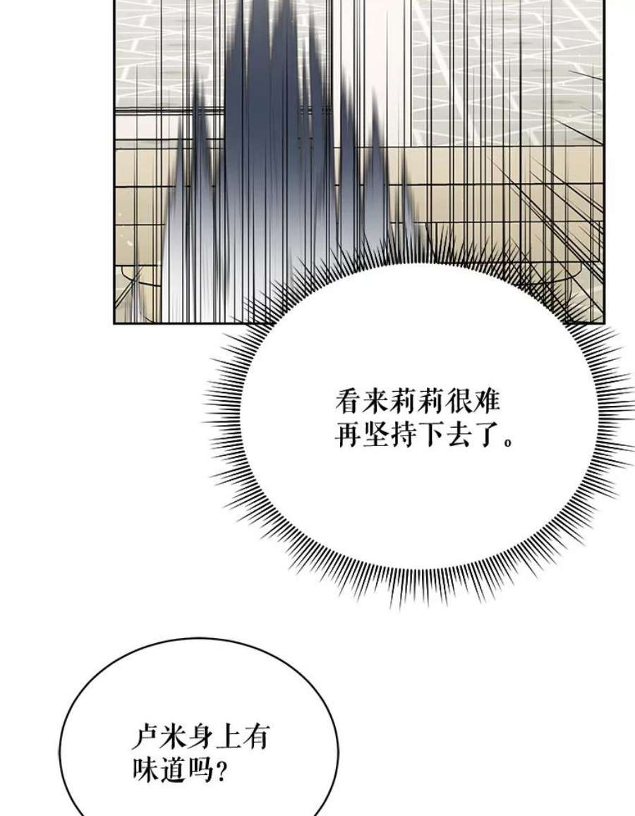 绿荫之冠66.味道