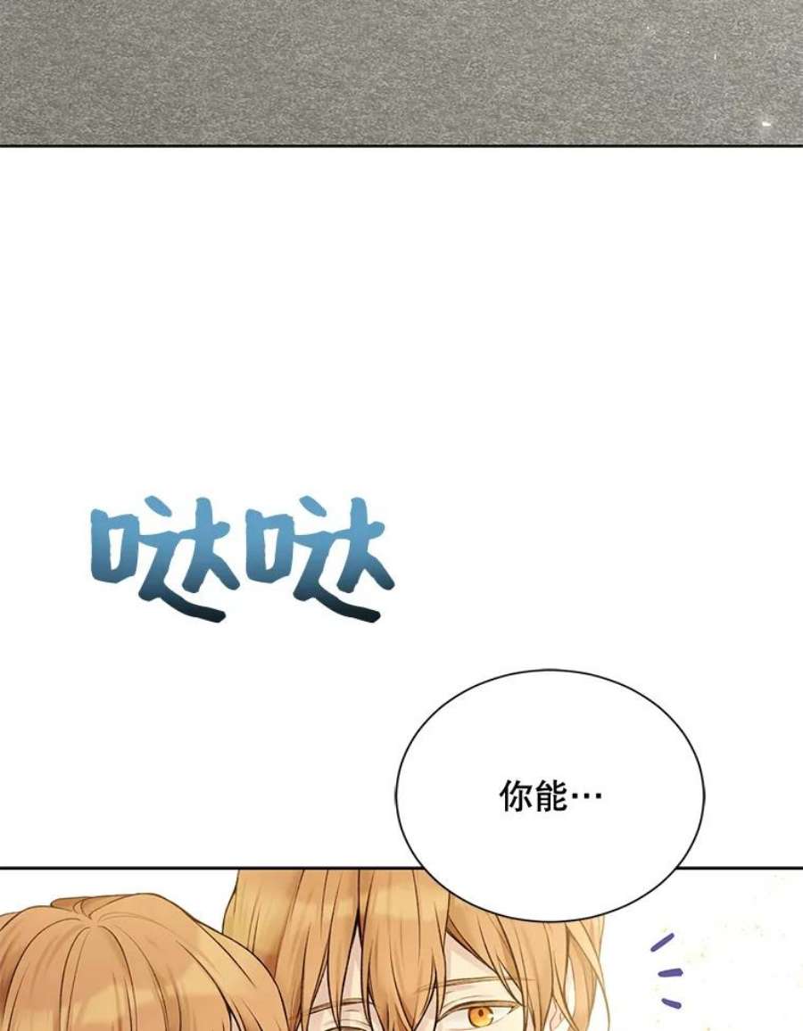 绿荫之冠66.味道