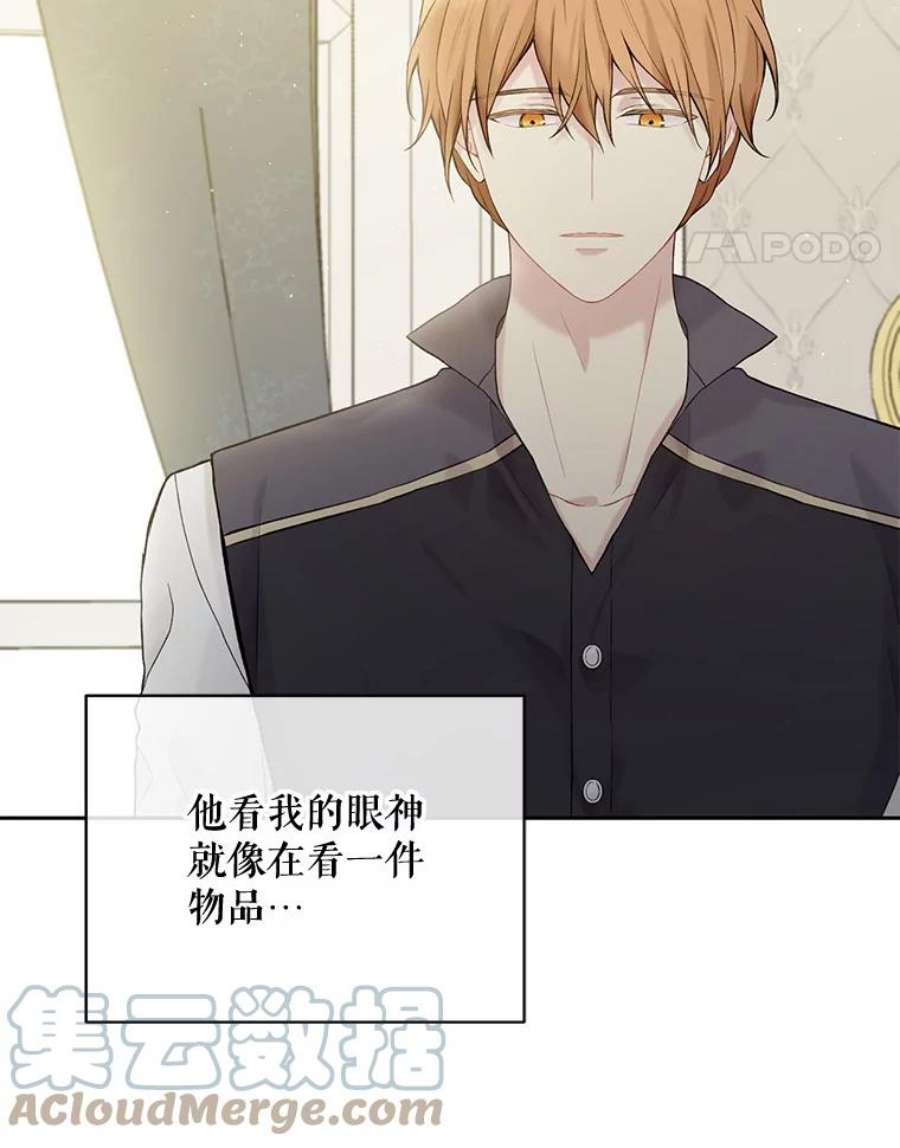 绿荫之冠66.味道