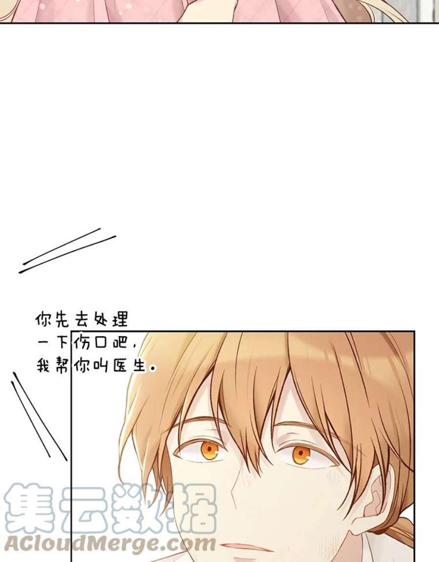 绿荫之冠67.嫉妒