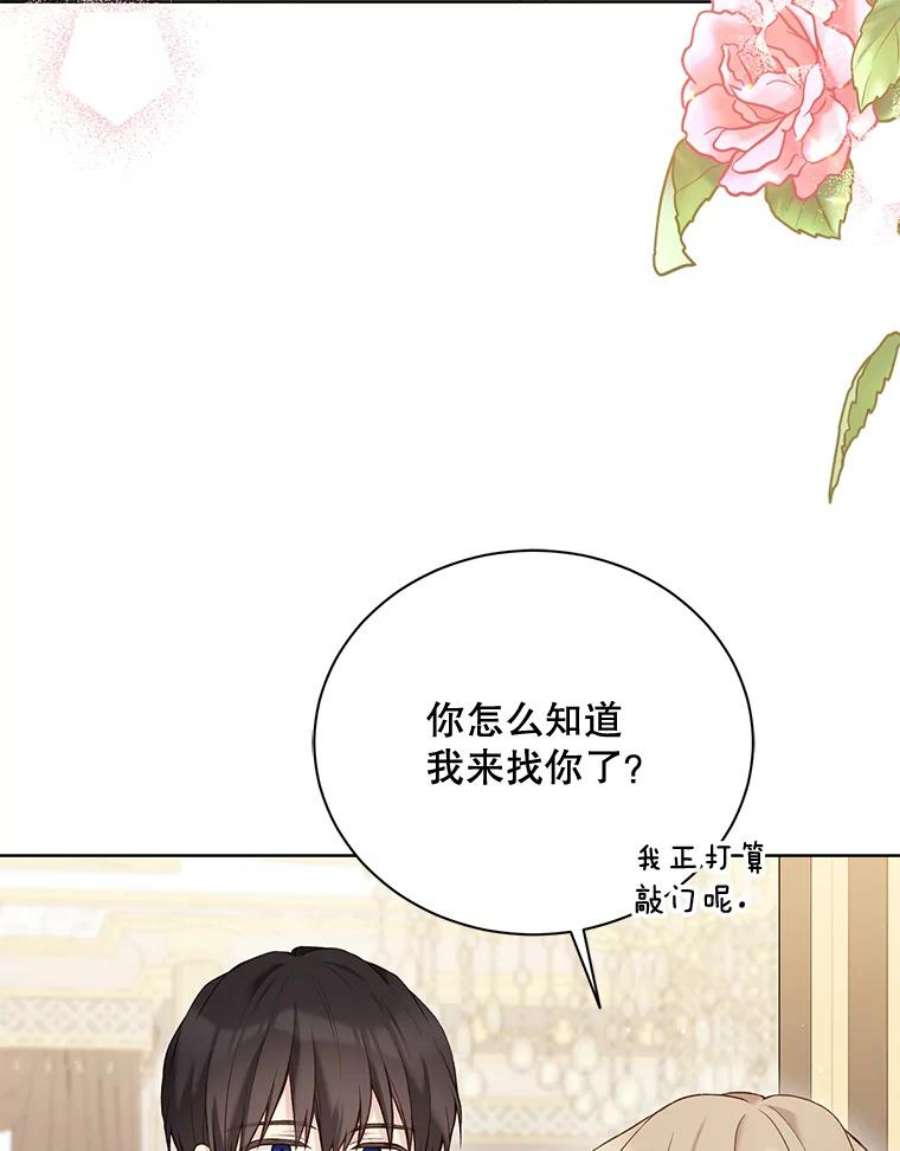 绿荫之冠67.嫉妒