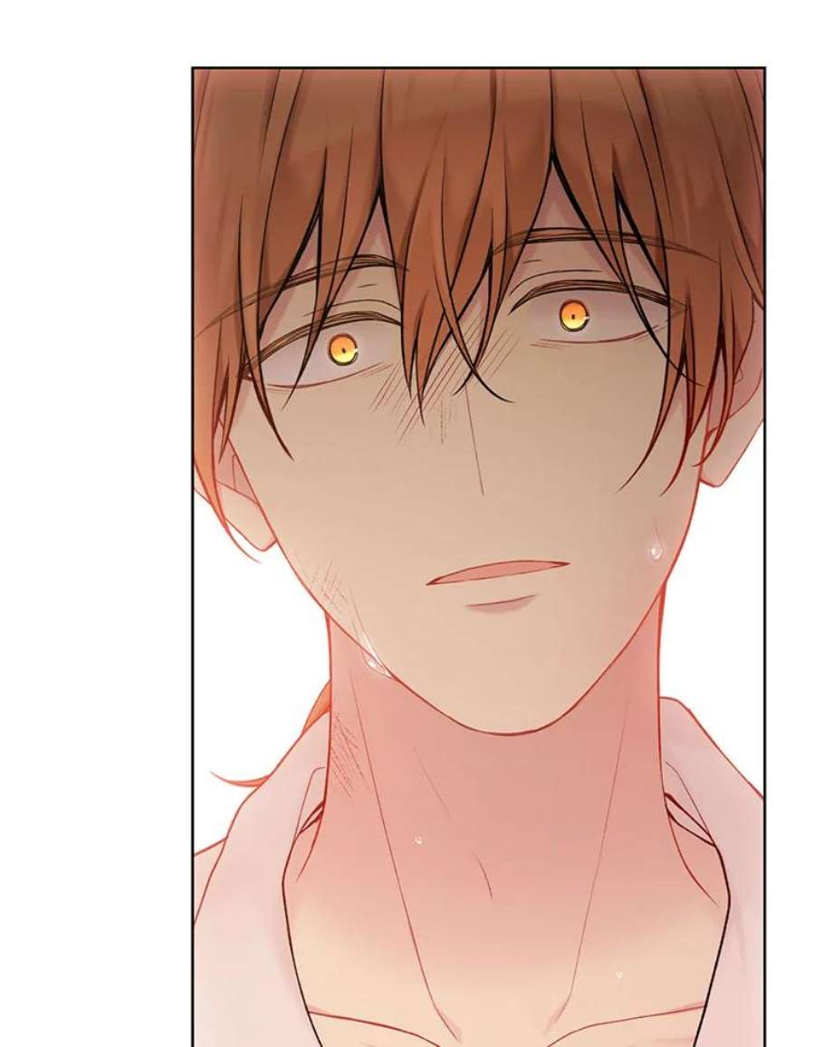 绿荫之冠68.失控