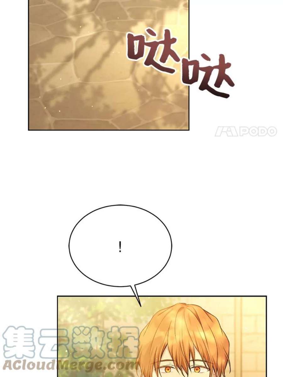 绿荫之冠69.解除误会