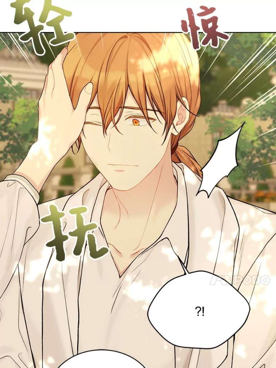 绿荫之冠69.解除误会