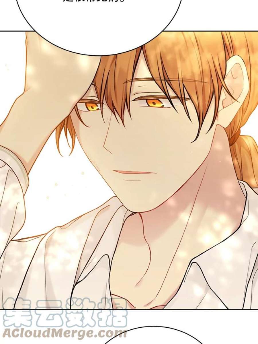 绿荫之冠69.解除误会