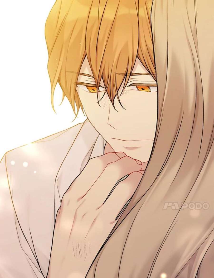 绿荫之冠69.解除误会