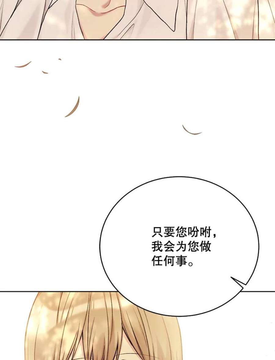 绿荫之冠69.解除误会