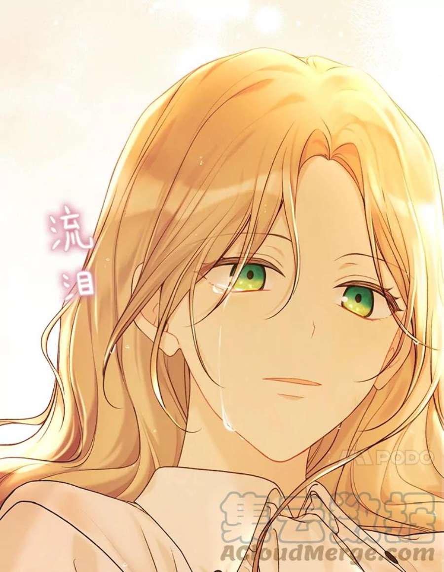 绿荫之冠73.我们的关系