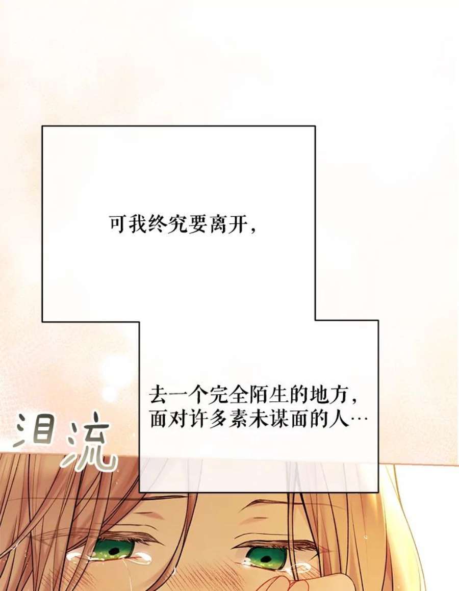 绿荫之冠73.我们的关系