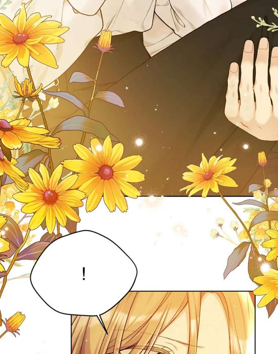 绿荫之冠73.我们的关系