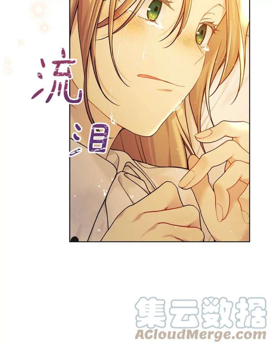 绿荫之冠73.我们的关系