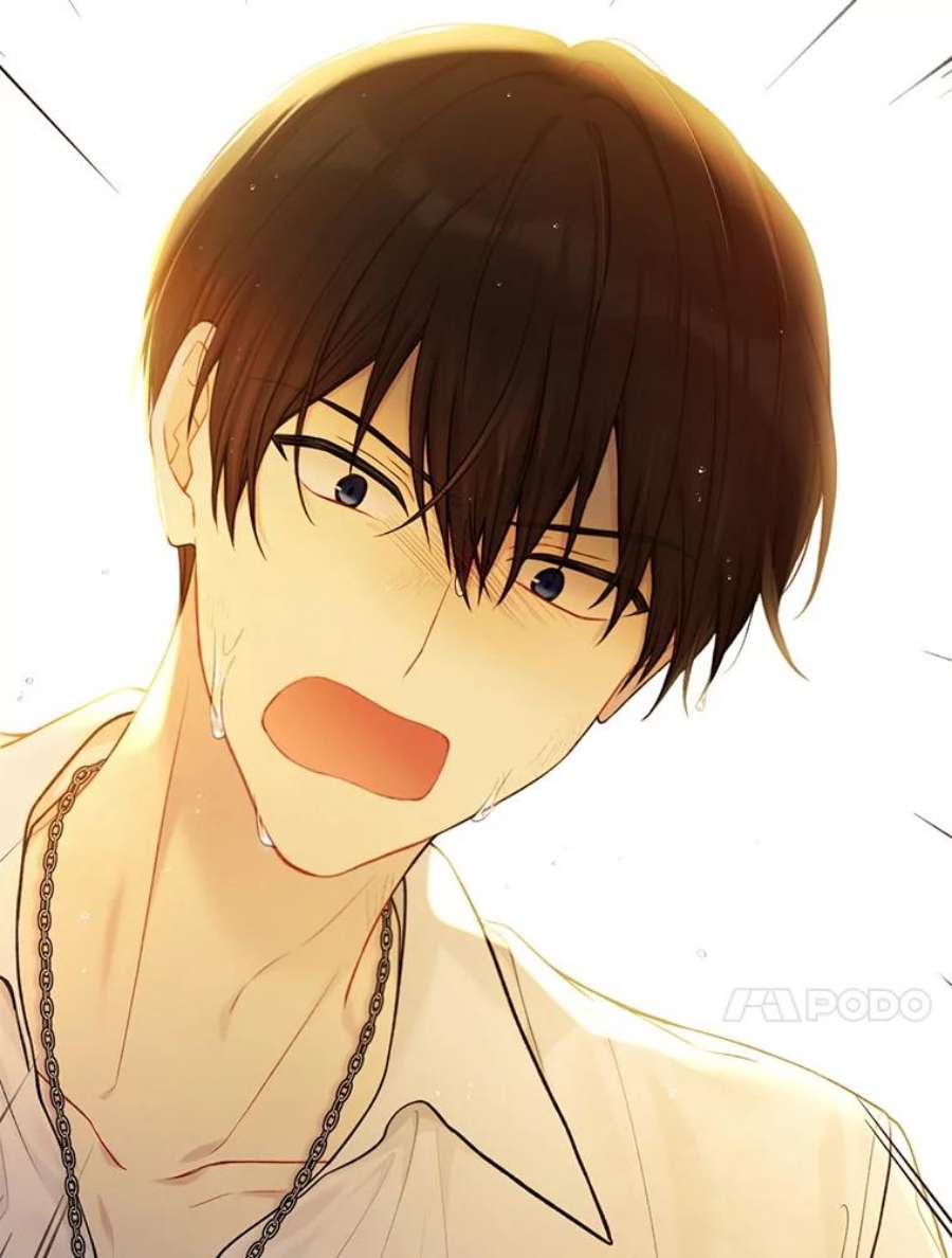 绿荫之冠73.我们的关系