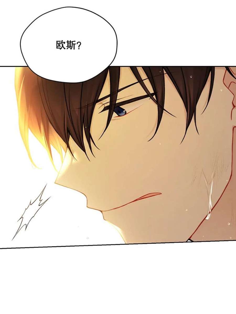 绿荫之冠73.我们的关系